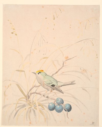 バラの枝にとまる王鳥。 作： P.C. Skovgaard