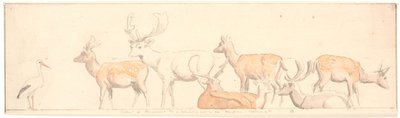 乱暴な鹿とコウノトリ 作： P.C. Skovgaard