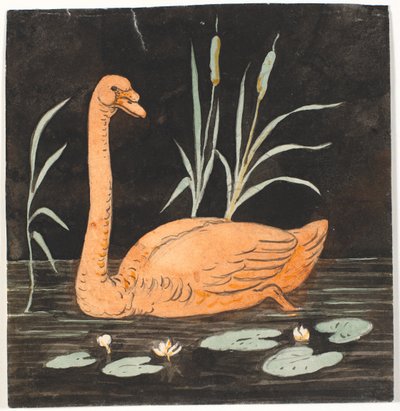 黒い背景に白鳥。 装飾案。 作： P.C. Skovgaard