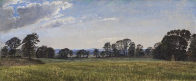 ドーシーズリストの牧草地 作： P.C. Skovgaard
