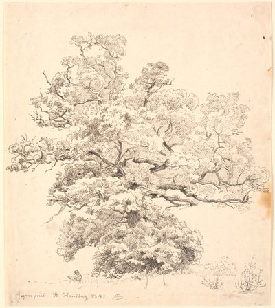 大きな樫の木の下に絵を描く人が座っています。 作： P.C. Skovgaard