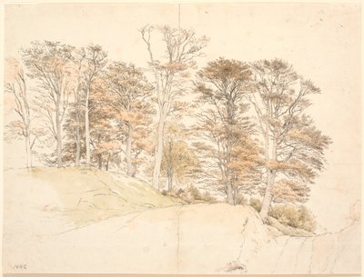 丘陵地に紅葉した背の高い木々 作： P.C. Skovgaard