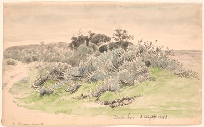 スクラブのある風景。 作： P.C. Skovgaard