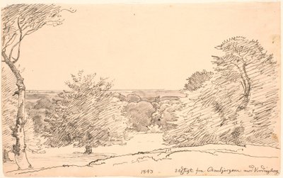 Ambjergene から Vordingborg に向かう木々と広い景色のある風景。 作： P.C. Skovgaard