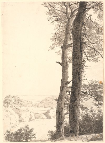 前景に 2 本の背の高い木、ブナがある Skarritsø の風景。 作： P.C. Skovgaard