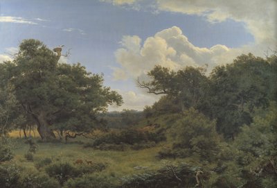 イェーガースプリス、ジーランドの近くの Nordskoven の樫の木 作： P.C. Skovgaard