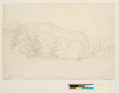 バック グラウンドで大きなブナの木と Skovsø。 作： P.C. Skovgaard