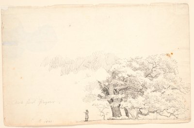 大きな樫の木、テレビ 読書マン。 作： P.C. Skovgaard