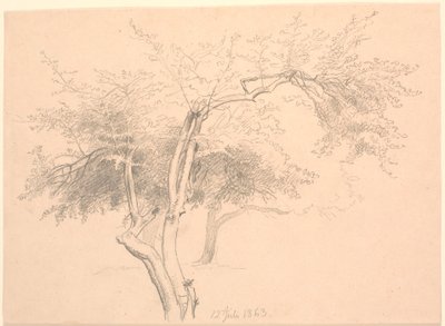 こずえの研究。 作： P.C. Skovgaard