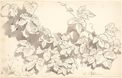 勉強シート。 エジブレイド。 作： P.C. Skovgaard