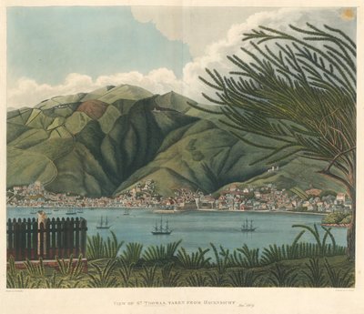 セント トーマスの眺め、Havensicht から撮影、1 月 18 日、Joseph Constantine Stadler によるリトグラフ (fl.1780-1812) 作： P. M. (after) Vieillot