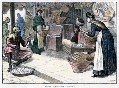 ジブラルタルの家禽と卵の市場、1880 年頃。 作： P Naumann
