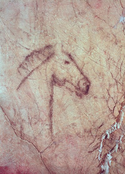 馬の頭、クエバデラペナデカンダモサンロマン（洞窟壁画） 作： Paleolithic