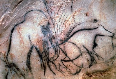 マンモス礼拝堂からのマンモスと牛を描いた絵画（洞窟壁画） 作： Paleolithic Paleolithic