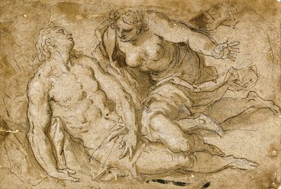 死んだアドニスを発見する金星（紙に黒いチョーク、ペン、茶色のインク） 作： Palma Il Giovane