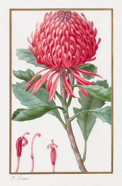無題、1828-1835。 作： Pancrace Bessa