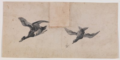 2羽の飛ぶ鳥 作： Pandolfo Reschi