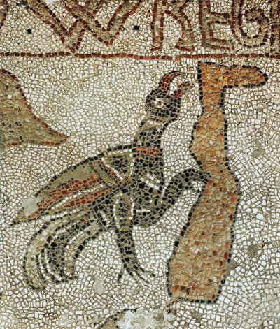  作： Pantaleone Pantaleone