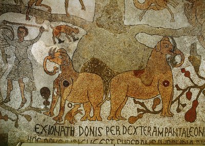  作： Pantaleone Pantaleone