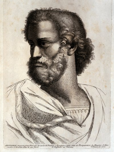 アリスト 作： Paolo Fidanza