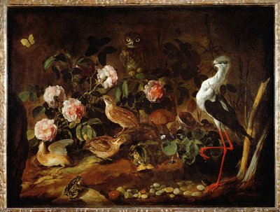 フクロウとトキの静物 - フクロウとトキの静物 ... 作： パオロ・ポルポラ