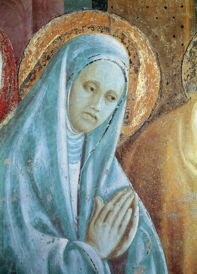 寺院でのマリアの贈与、1433-34（詳細）のセントアンヘッド 作： Paolo Uccello