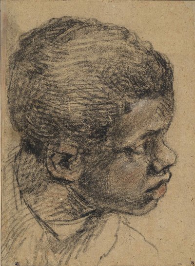 黒人少年の頭、16世紀。 作： Paolo Veronese