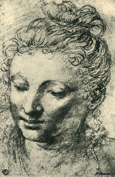 見下ろす女性の頭、16世紀半ば、1943年。 作： Paolo Veronese