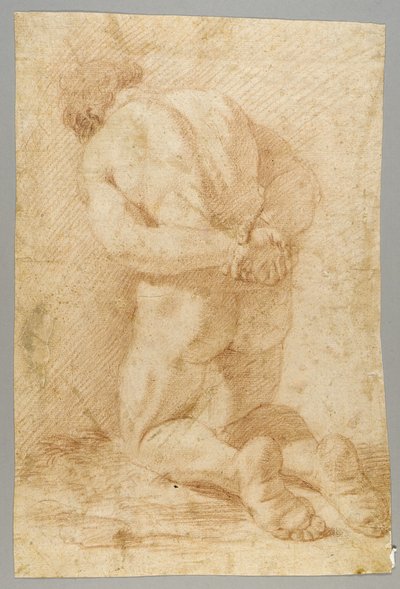 ドローイング 作： Paolo de Matteis