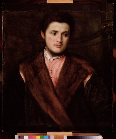 毛皮のコートを着た青年の肖像 パリス・ボルドン（1500-1571）の絵画 16世紀 薄暗い 75x64 cm Genes Musei di Strada Nuova (ex Palazzo Rosso) 作： Paris Bordone