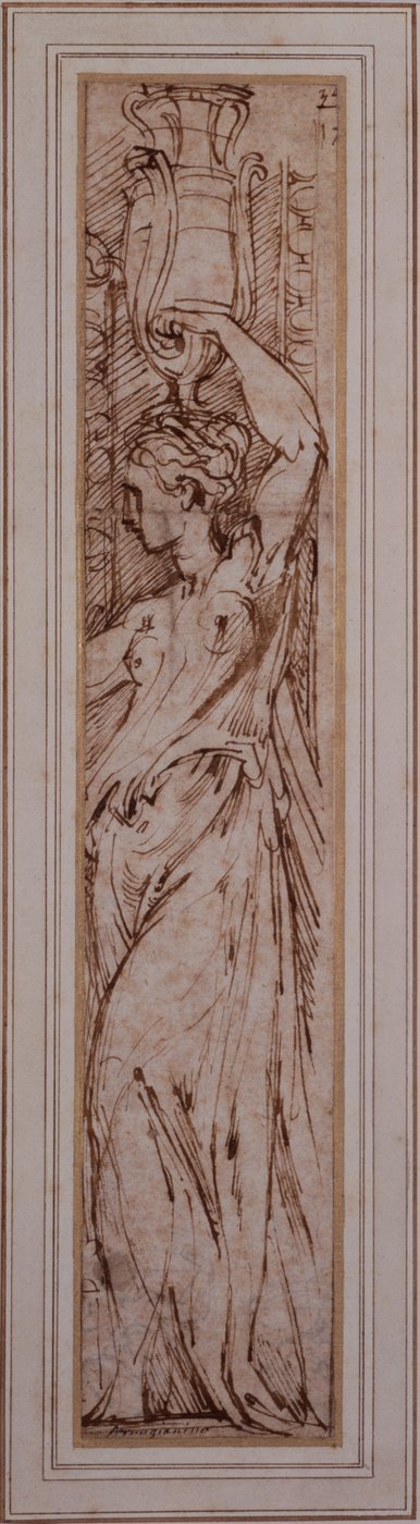 左の横顔のカネフォロス (紙にペン、インク、ウォッシュ) 作： Parmigianino