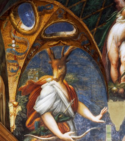 ダイアナによって牡鹿に変えられたアクテオン、ダイアナとアクテオンのホールの詳細 作： Parmigianino