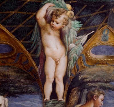 ケルビム（「ダイアナとアクタイオンの神話」の細部）、約19年 作： Parmigianino