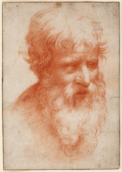 ひげを生やした男の頭部、右を向いている 1523-25年頃 （紙に赤チョーク） 作： Parmigianino (1503 40)