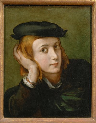 若者の肖像 作： Parmigianino (1503-40)