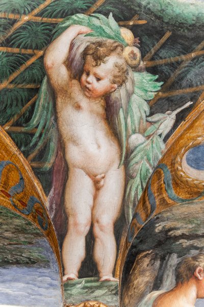 ダイアナとアクタイオンの部屋からのプット、2384753 の詳細 作： Parmigianino