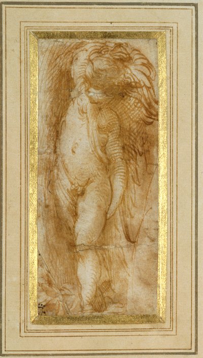 左を向いたプート（紙にペン、茶インク 作： Parmigianino