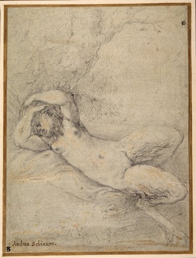 木の下で眠るサチュレス（黒チョークに白のボディカラーで盛り上げ、カルタ・アズーラに描く 作： Parmigianino