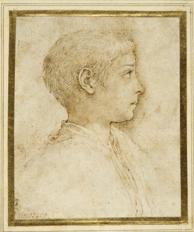 右横顔の少年の胸像（白紙にペンと茶インク 作： Parmigianino