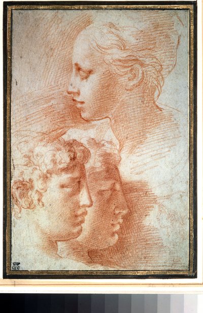 「Etude de tetes」（頭の習作）。 若い女の子と男の子の顔の輪郭。 Girolamo Francesco Maria Mazzola または Mazzuoli dit il Parmigianino (パルメザン チーズ) による描画 作： Parmigianino