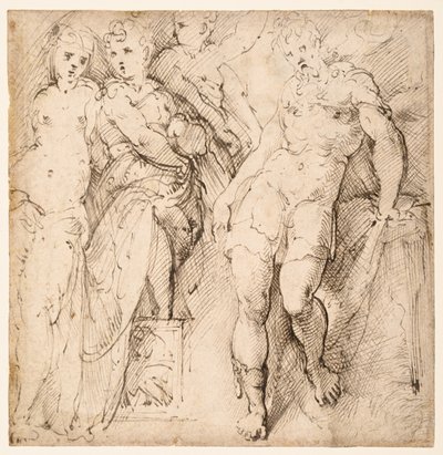四図研究（直腸） 作： Parmigianino