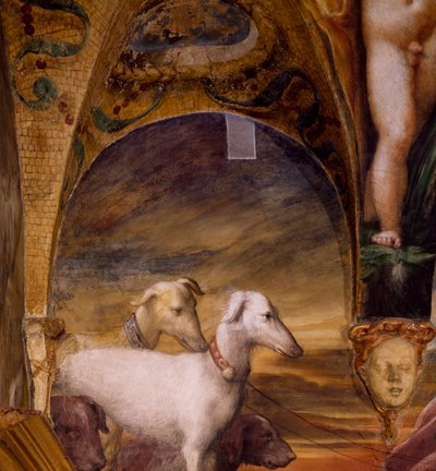 犬の群れ（『ダイアナとアクタイオンの神話』より 作： Parmigianino