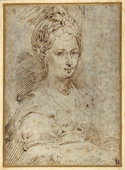 座っている女性の半身（紙にペンとインク 作： Parmigianino