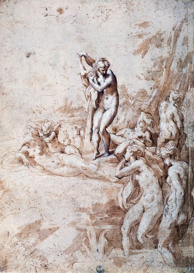 ニンフの水浴び（ペンと薄めたインク、白鉛 作： Parmigianino