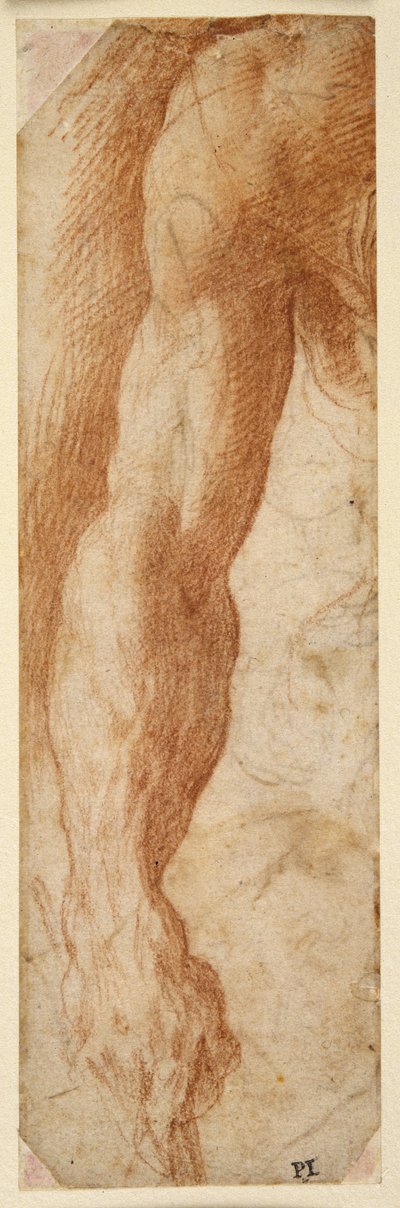 男性の右腕の習作、棒を持つ手（白紙に赤チョーク 作： Parmigianino