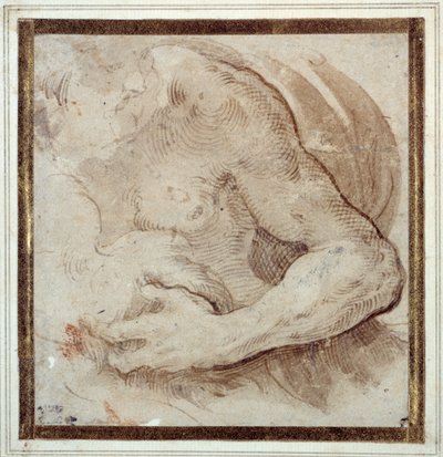 髭を生やした男性の左腕、胸、頭の習作（クリーム色の紙に赤チョーク、ペンと茶色のインク 作： Parmigianino