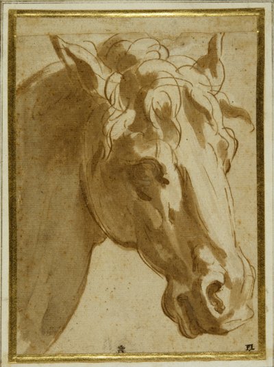 馬の頭と首（クリーム色の紙にペンと茶色のインクと水彩）。 作： Parmigianino