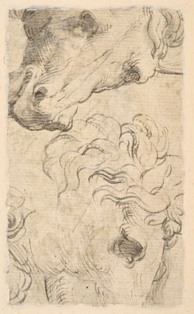 馬の頭部の 2 つの習作 (フラグメント) (裏面) 作： Parmigianino