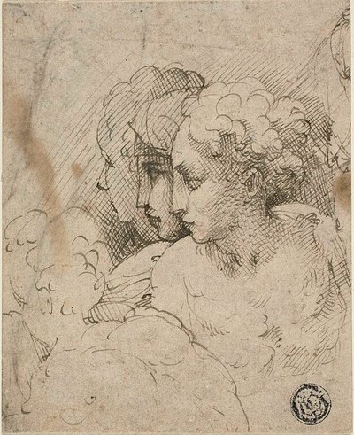 女性ヘッド 作： Parmigianino