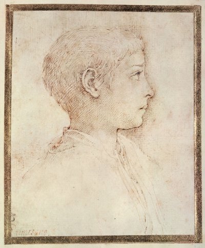 少年の頭 作： Parmigianino